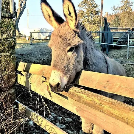 Agroturismo Umbrian Retreat With Private Pool And Garden Monte Castello di Vibio